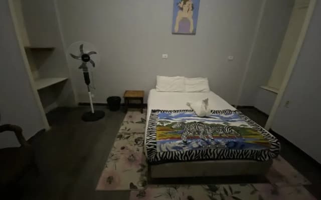 Cairo Central House - photo 3