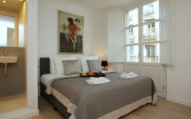SSG Ramblas Deluxe Apartments - photo 3
