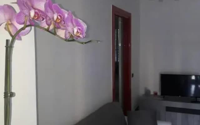 Valassina milano apartment - photo 5