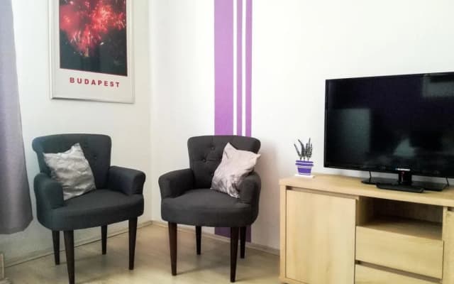 ABT Apartments Karoly - photo 5