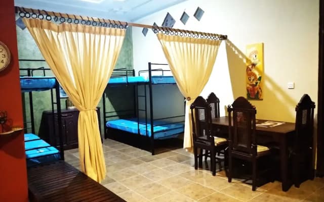 Bunk'd Backpackers Villa - Hostel - photo 4