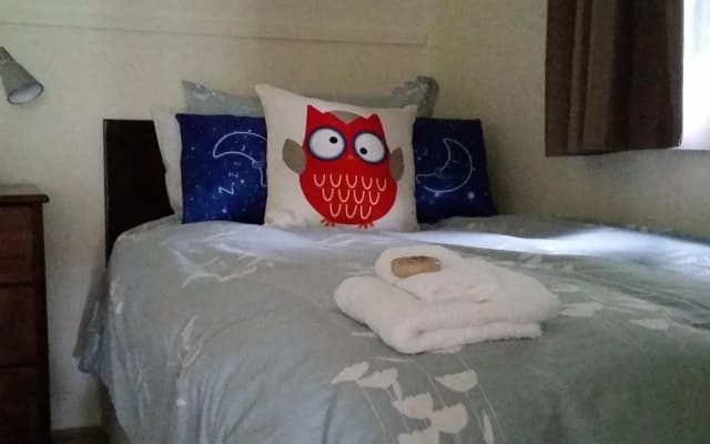 Devon Guest House - photo 2