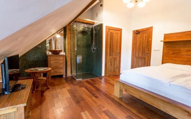 Pension U Hastrmana - photo 5