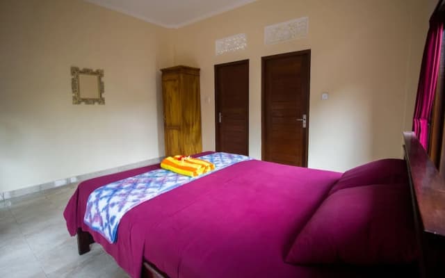 Parmini Guesthouse Soca - photo 2