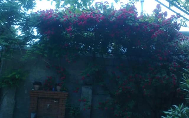 giorgi brckinvale(vashadze) 1 - photo 3