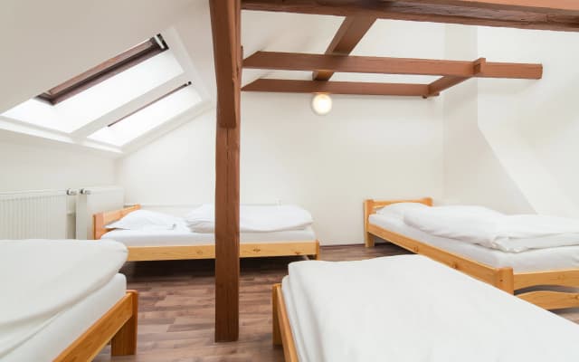 Easy Housing Hostel - photo 3