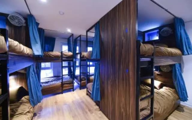 Cocoon Inn - photo 2