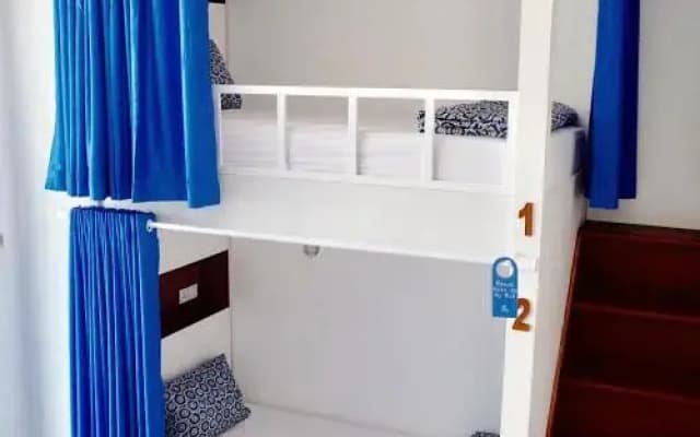 Dip & Doze Boutique Hostel - photo 3