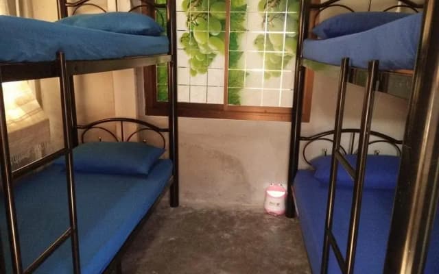 Dream Cat-Cher Hostel - photo 4