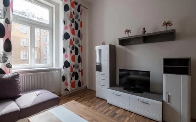 Downtown Apartments Prague - photo 4
