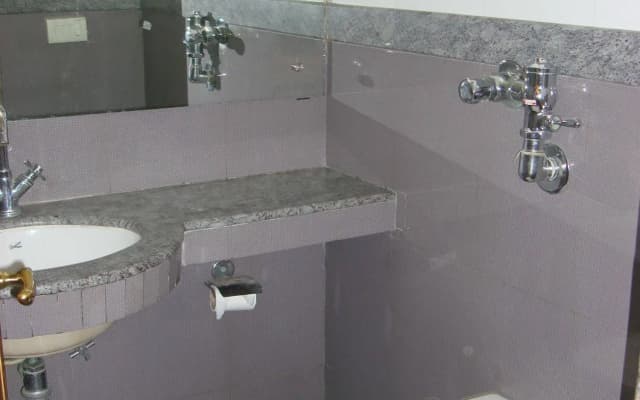 Hotel Rama Deluxe - photo 4