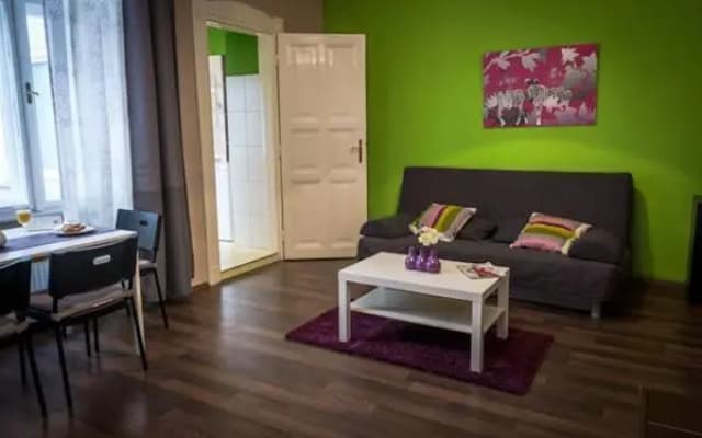 Large Central Apartment Fehérhajó - photo 3