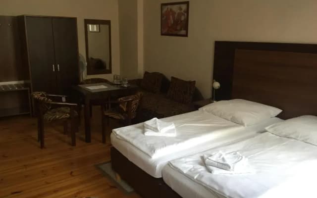 Classic Hotel Pension - photo 4