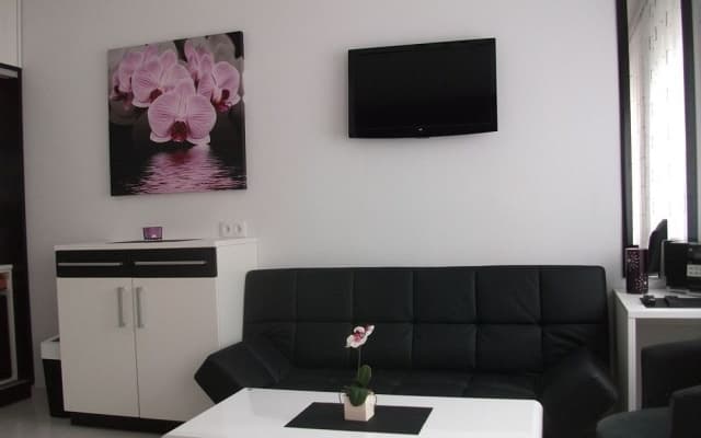 Constantin Apartments - photo 4
