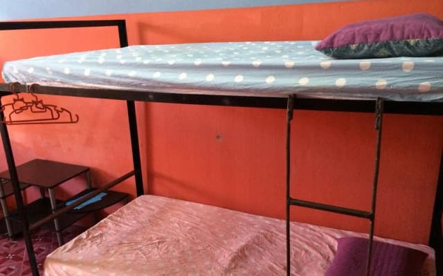 Awys Backpackers - photo 4