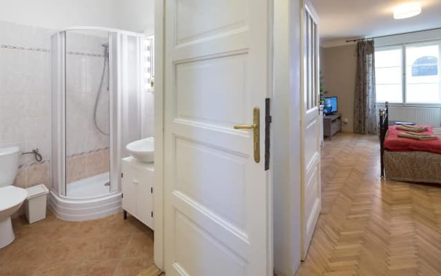 Old Town - Templova Apartments - photo 5