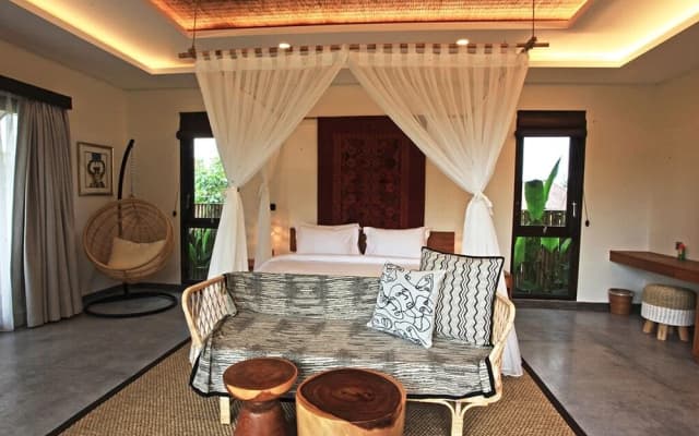 Elite Cassia - photo 5