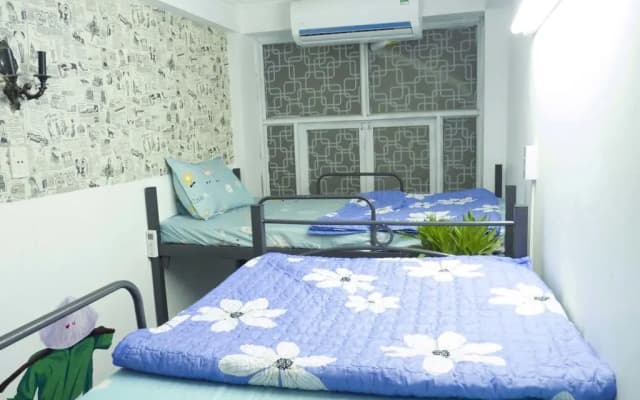 Daisy Hostel - photo 4