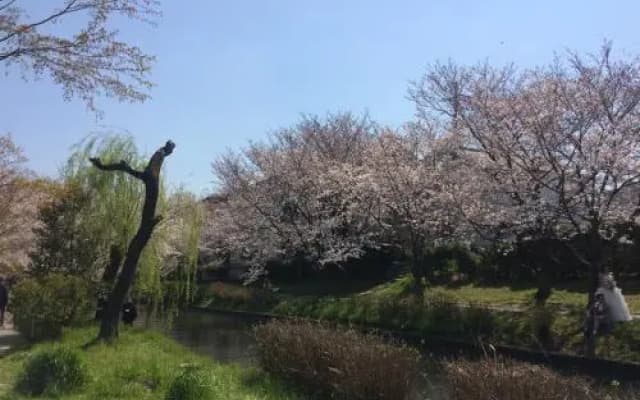Suzume-An - photo 3