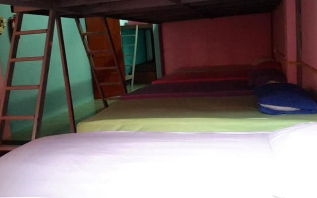 Bamboo Hostel - photo 4