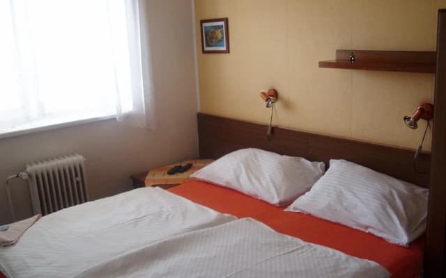 Pension Sparta - photo 4