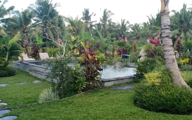 Green Coconut Cottage - photo 4
