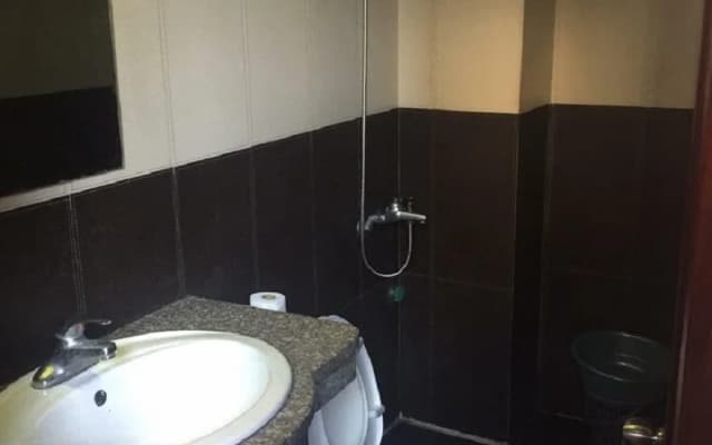 Holiday Hotel - photo 5