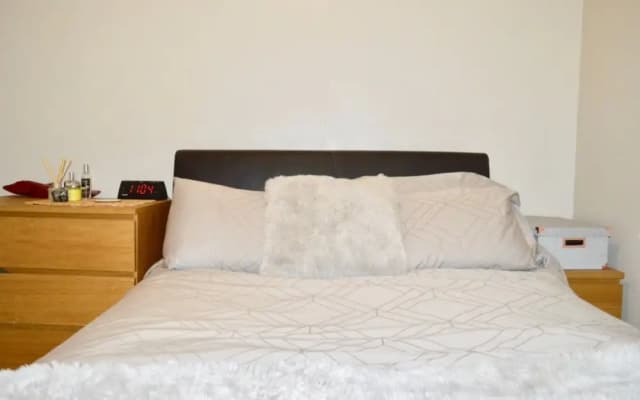 Modern Open-plan Leith Flat - photo 4