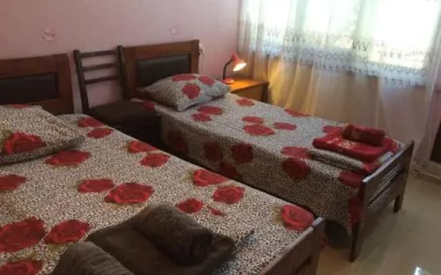 Alexs Cosy Guesthouse - photo 3