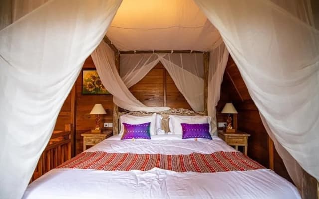 The Jungle Villa - photo 3
