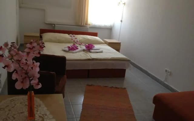 Hotel Timon - photo 4