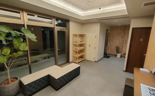 Serorin Light Hotel Tokyo - photo 2