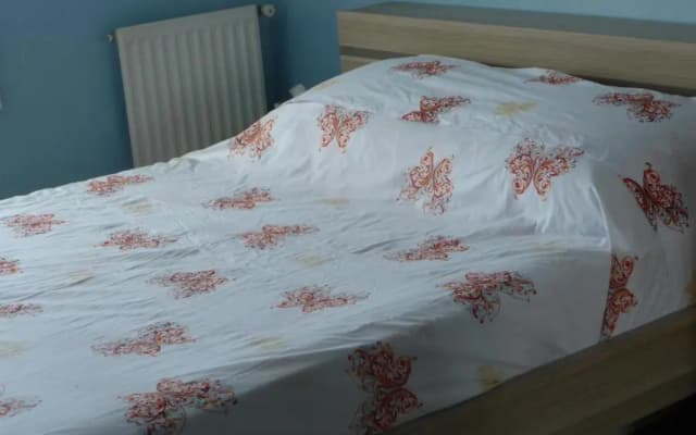 Chambre chez l'habitant Nice Baie des Anges - photo 4