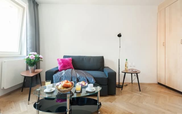 Soukenicka Apartment - photo 3