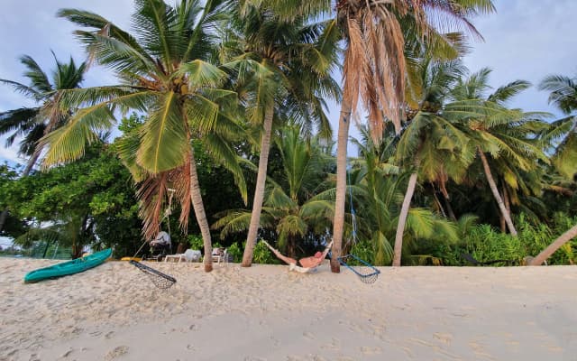 Veli Beach Inn Hotel - photo 4