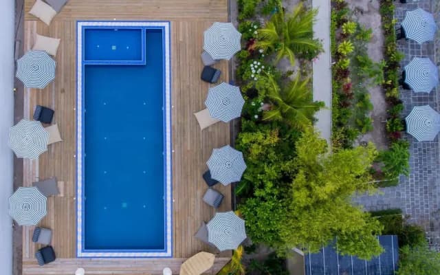 Mo Maldives Hotel - photo 4